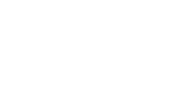 The Settlers: New Allies logo