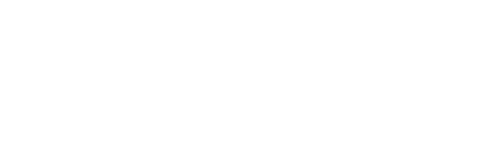Dandelion: Wishes Brought to You
