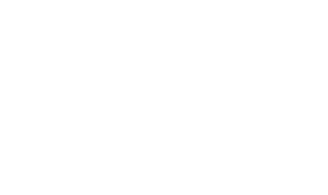 Samurai Sword