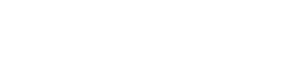 Dude Simulator 2