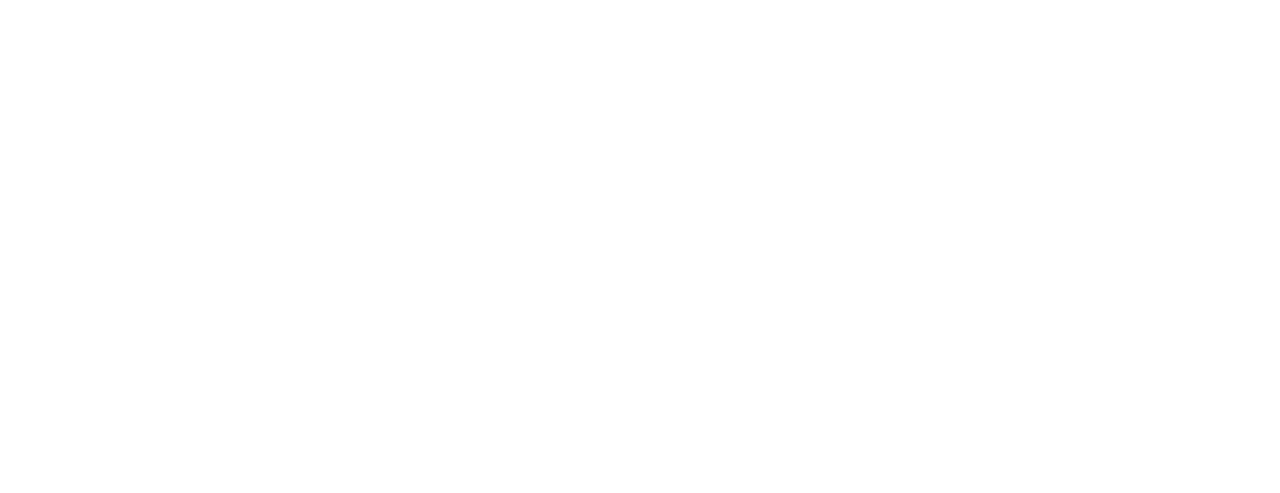 FlatOut 2 logo