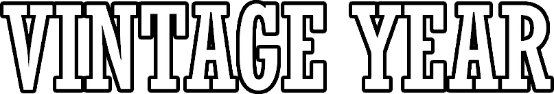Vintage Gaming Trivia Challenge