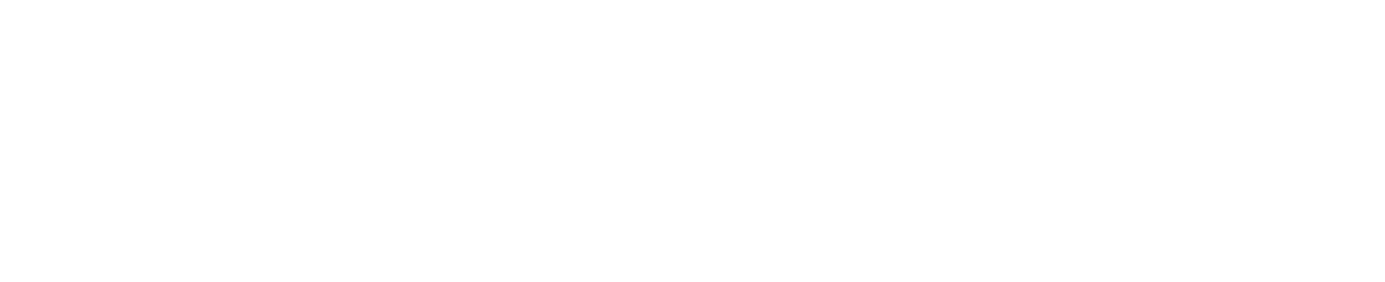 Mars First Logistics logo