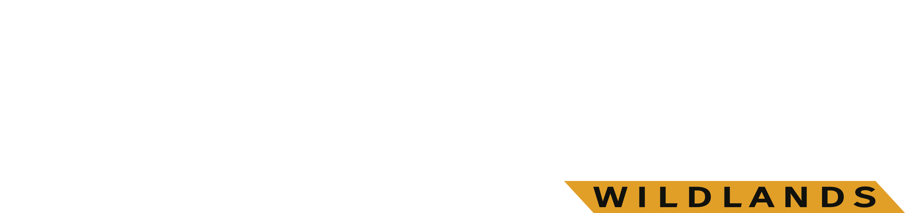 Tom Clancy's Ghost Recon Wildlands logo