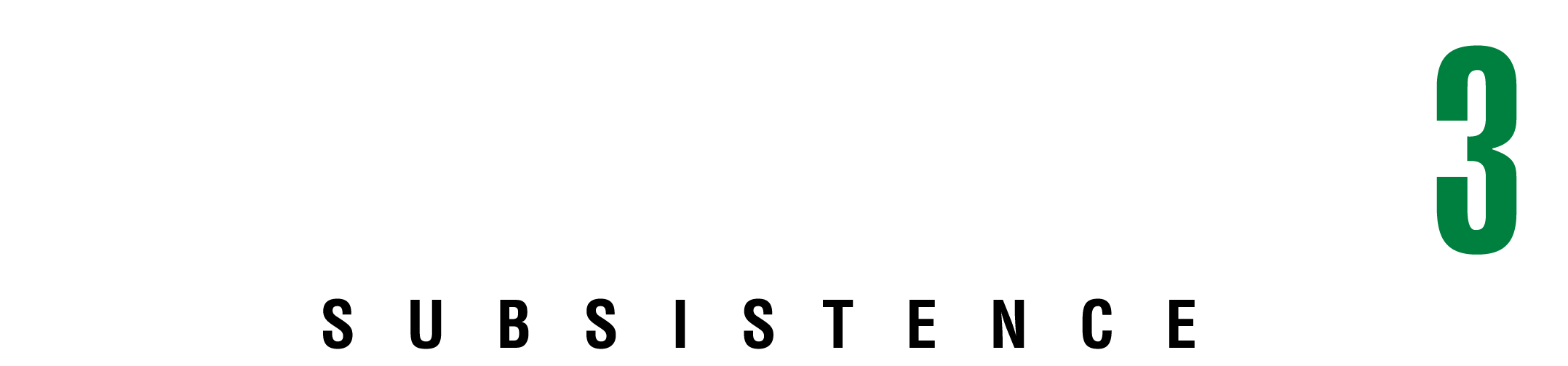 Metal Gear Solid 3: Subsistence - Limited Edition