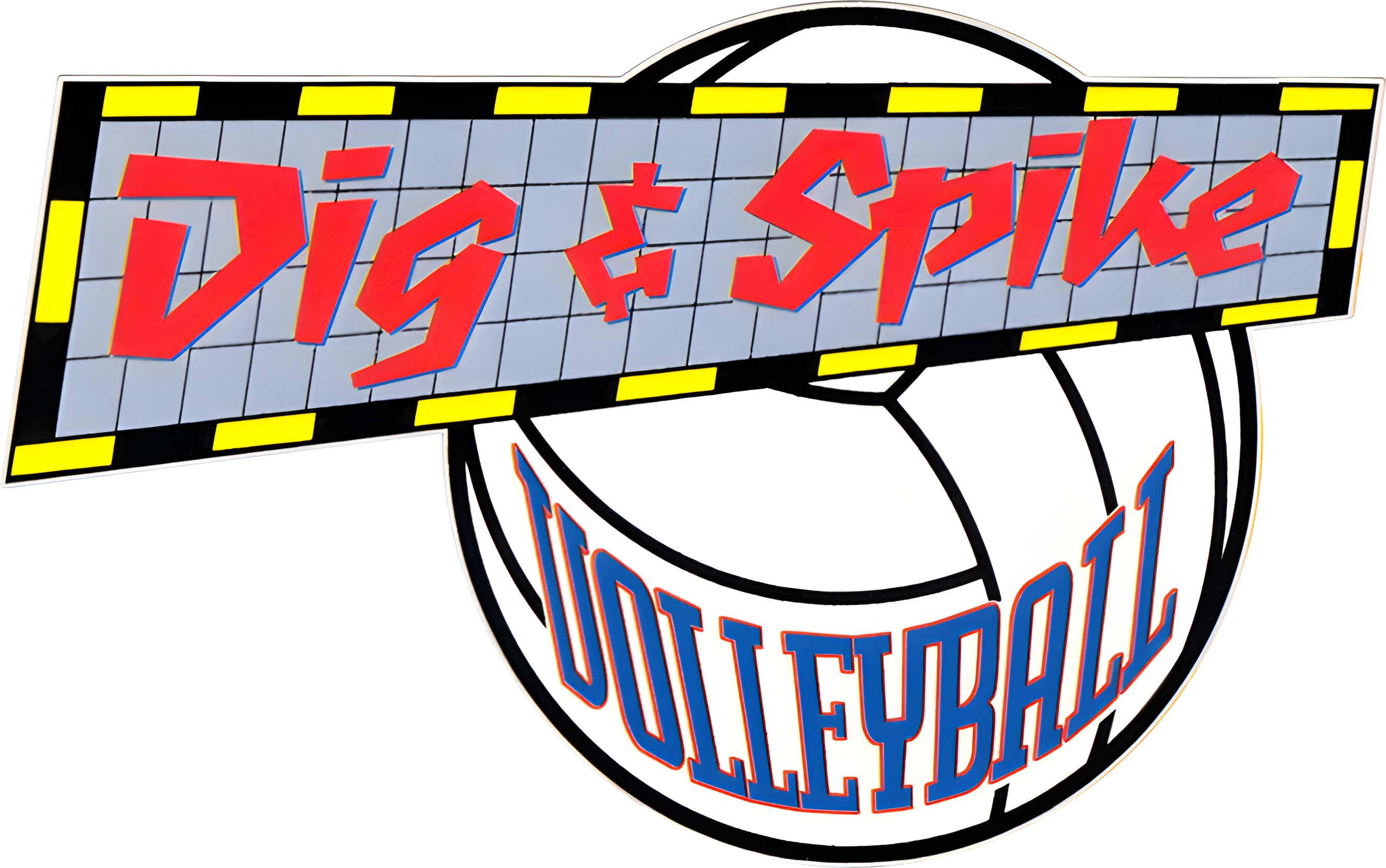 Dig & Spike Volleyball
