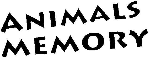 Animals Memory