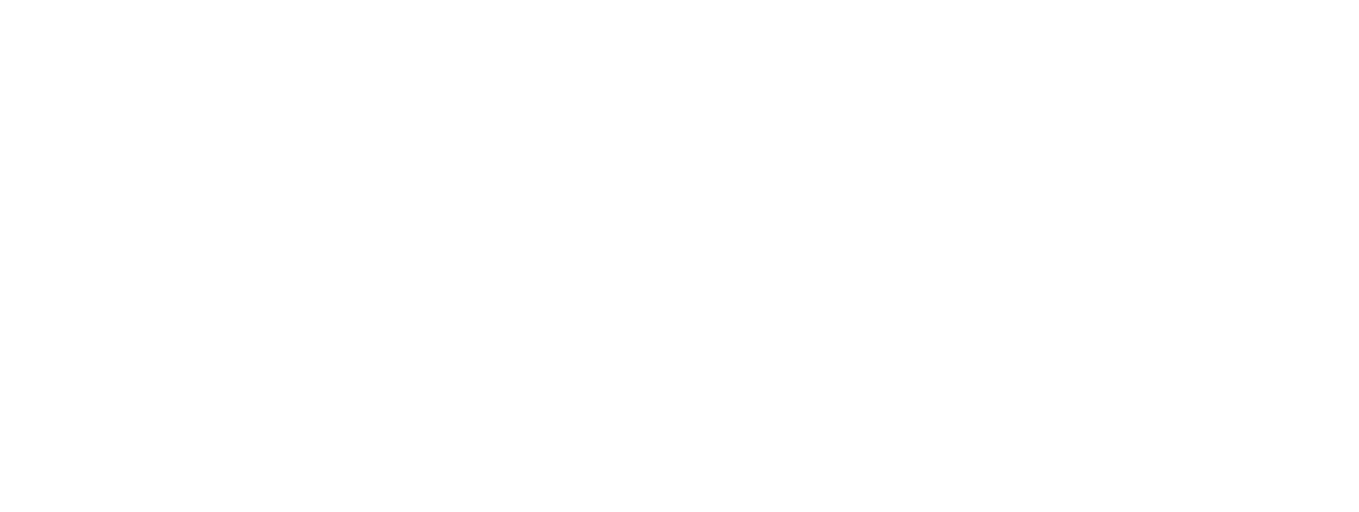 Torchlight II logo