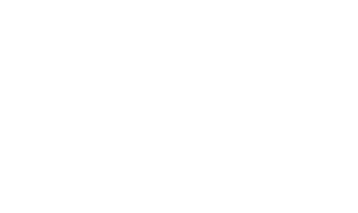 Fighting Simulator: 2 in 1 Flying Warriors
