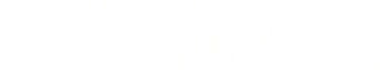 The Visitor