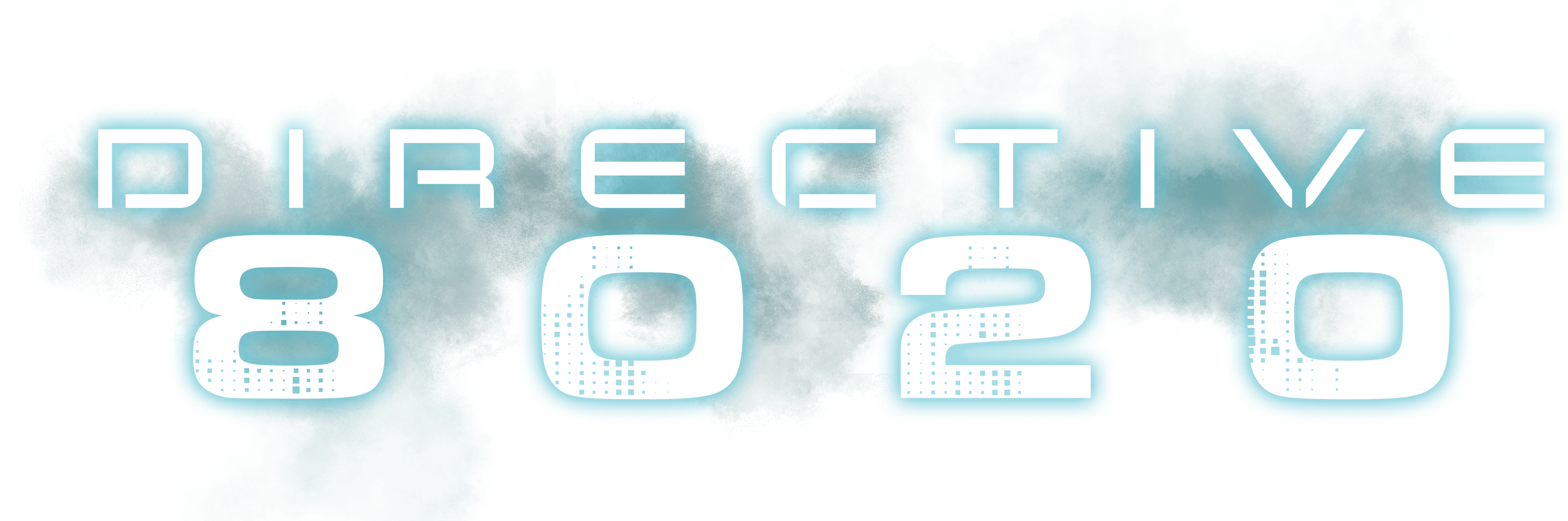 Directive 8020