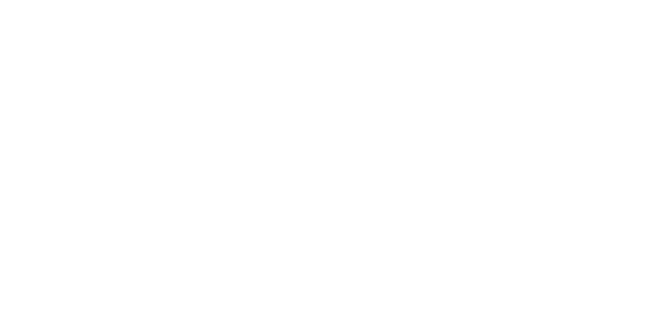 Starway Fleet logo