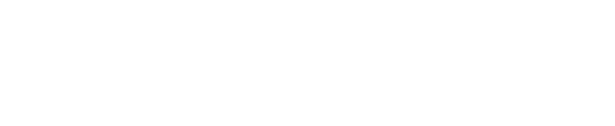 Screamer 2 logo