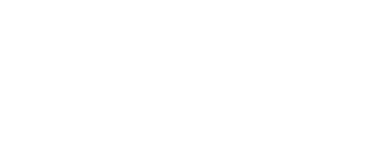 Call of Juarez: The Cartel logo