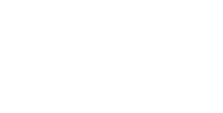 Armies of Exigo logo