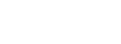 Terminal Velocity logo