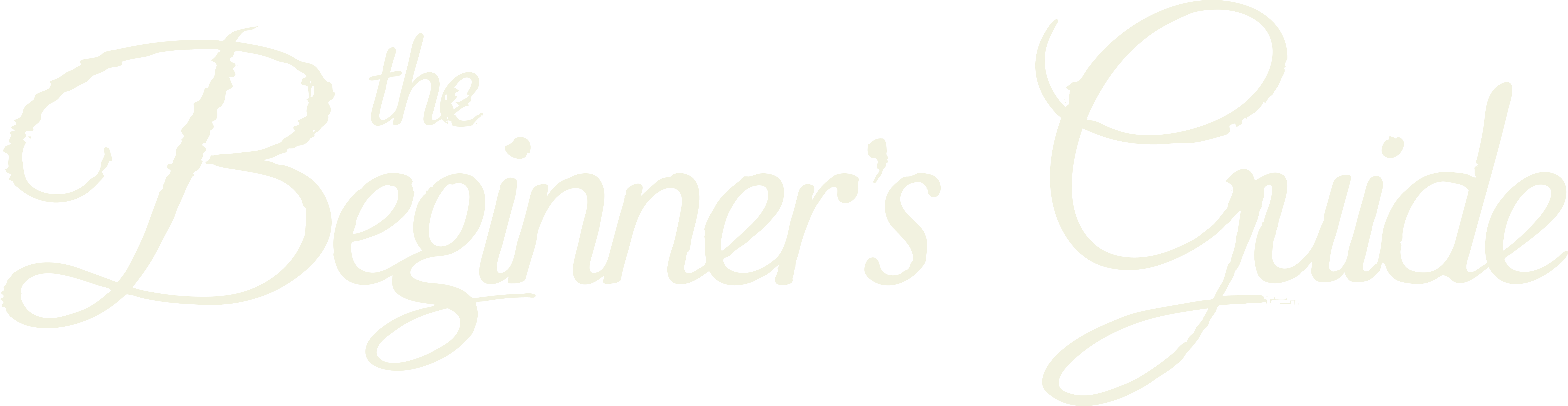 The Beginner's Guide