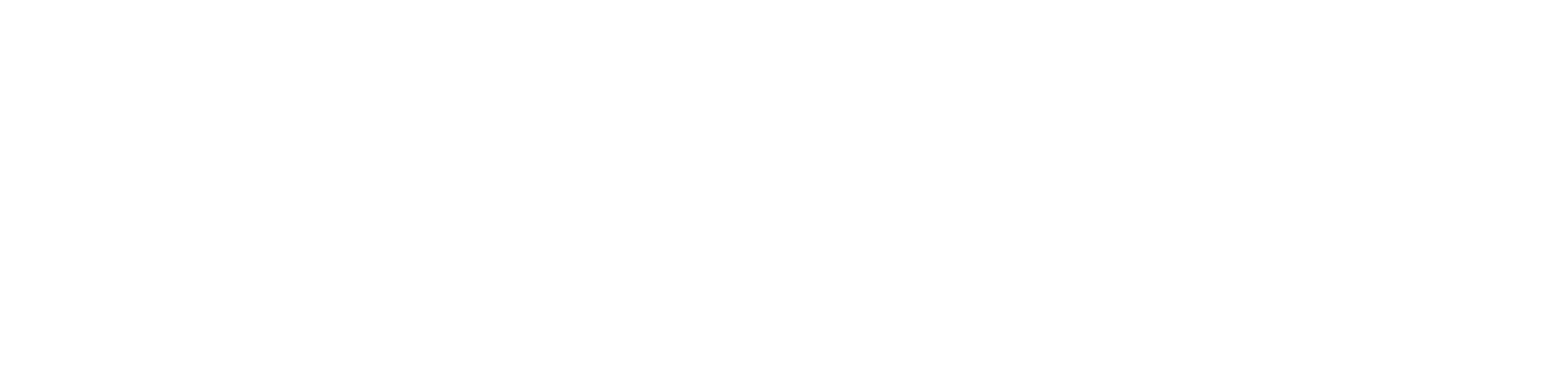 SkyDrift Infinity logo