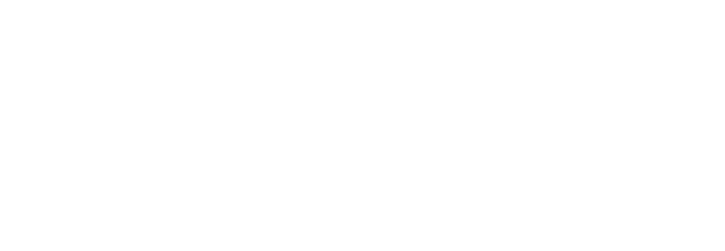 Metro 2039