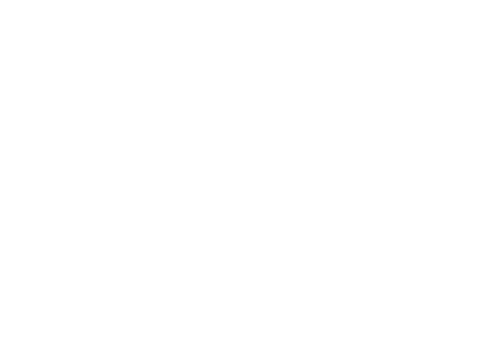 Party Print 'N Play