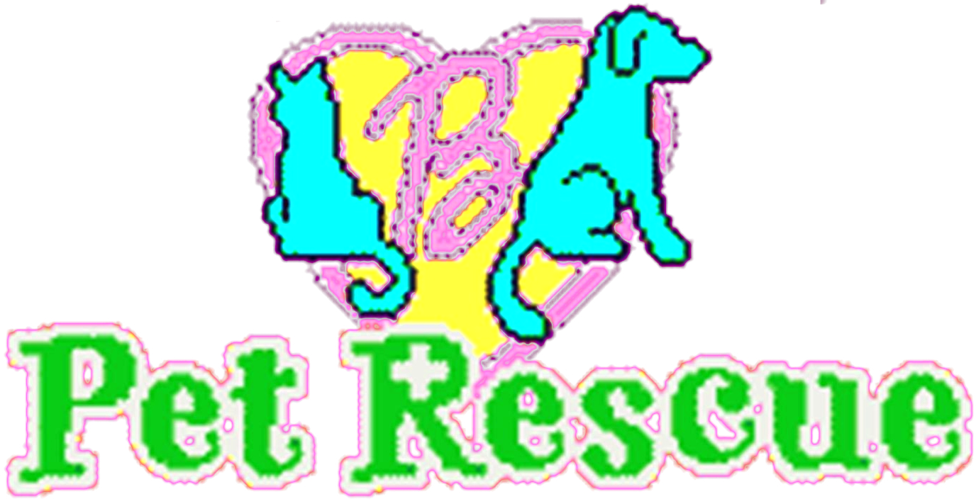 Barbie Pet Rescue