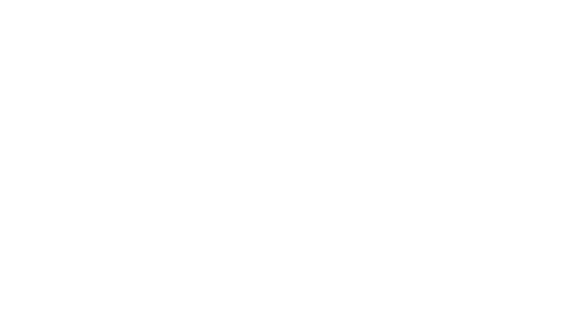 Tesla Force