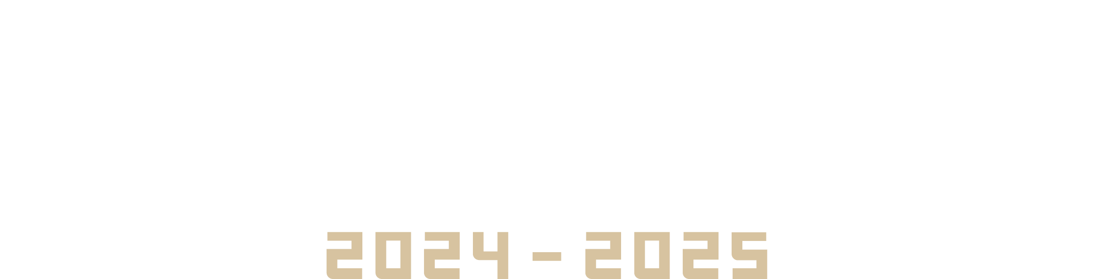 Pro Yakyuu Spirits 2