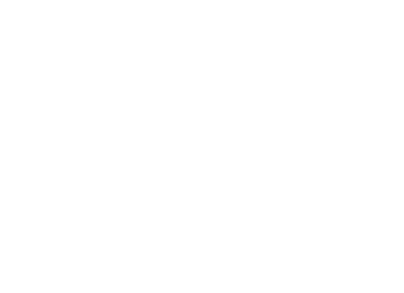 The Incredible Adventures of Van Helsing II logo