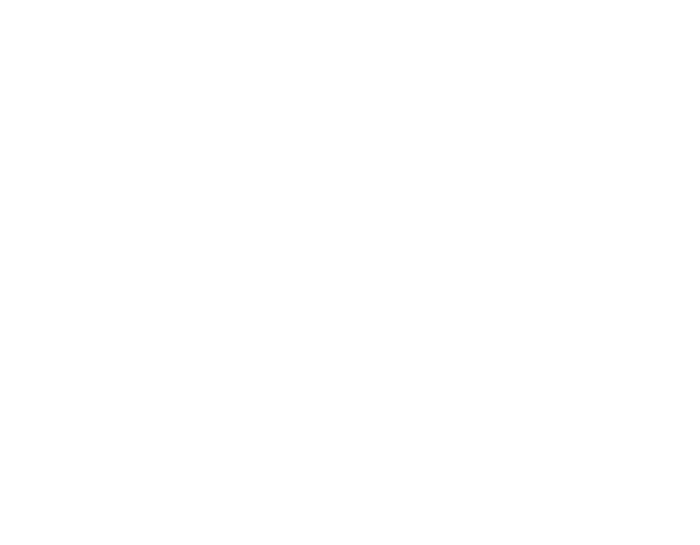David Crane's The Rescue of Princess Blobette
