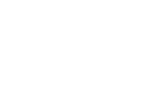 Shoot Many Robots logo