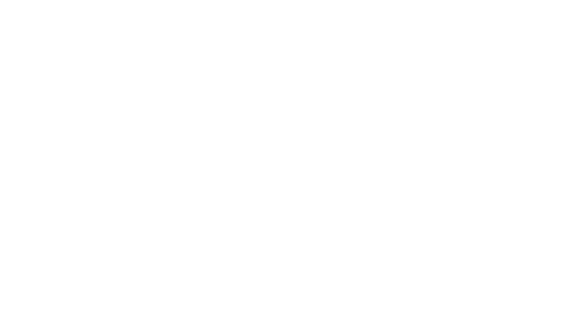 Twin Mirror