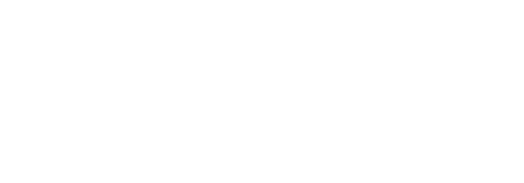 Nioh 2: The Complete Edition logo