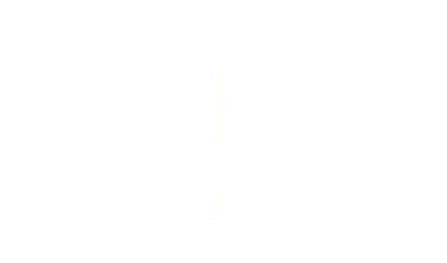 Root: The Riverfolk Expansion