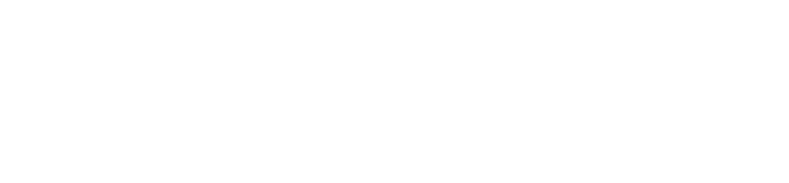 Solipskier