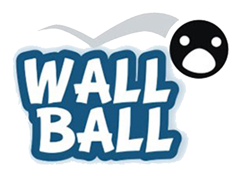 Wall Ball