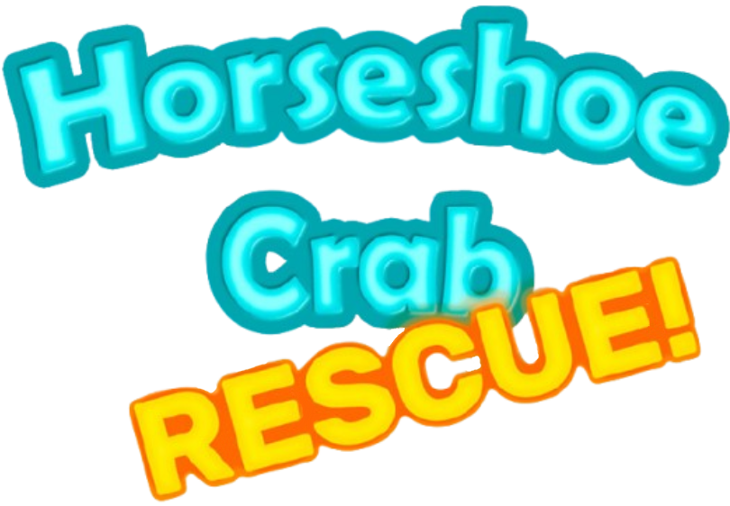 Horseshoe Crab Rescue!