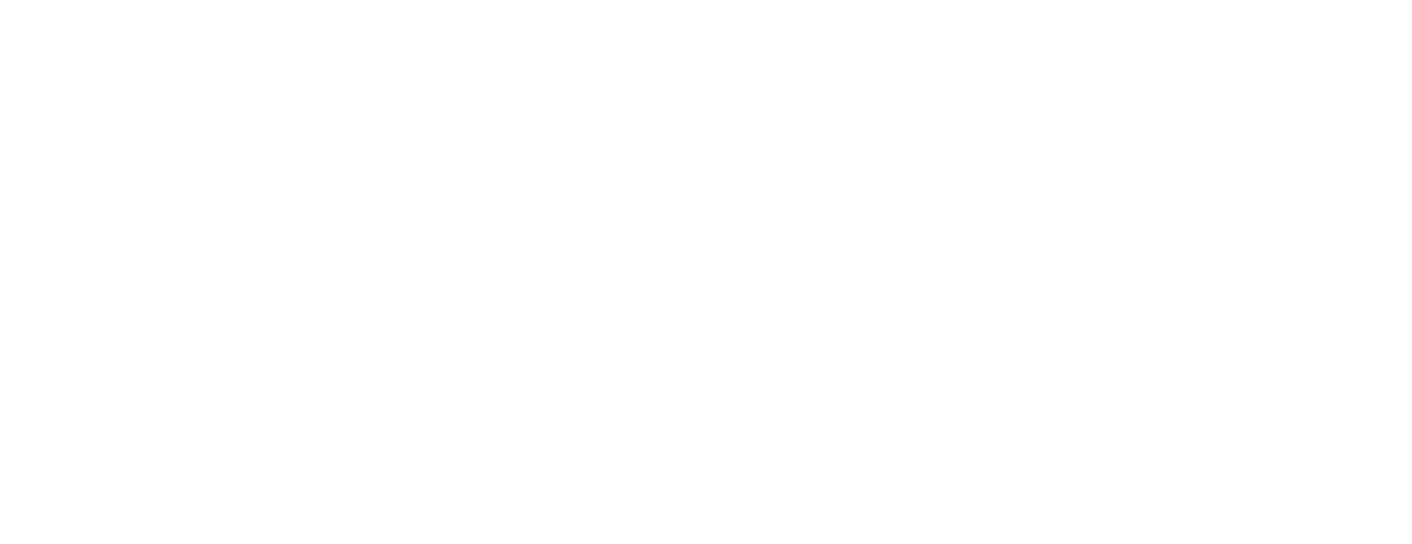 FlatOut 3: Chaos & Destruction logo