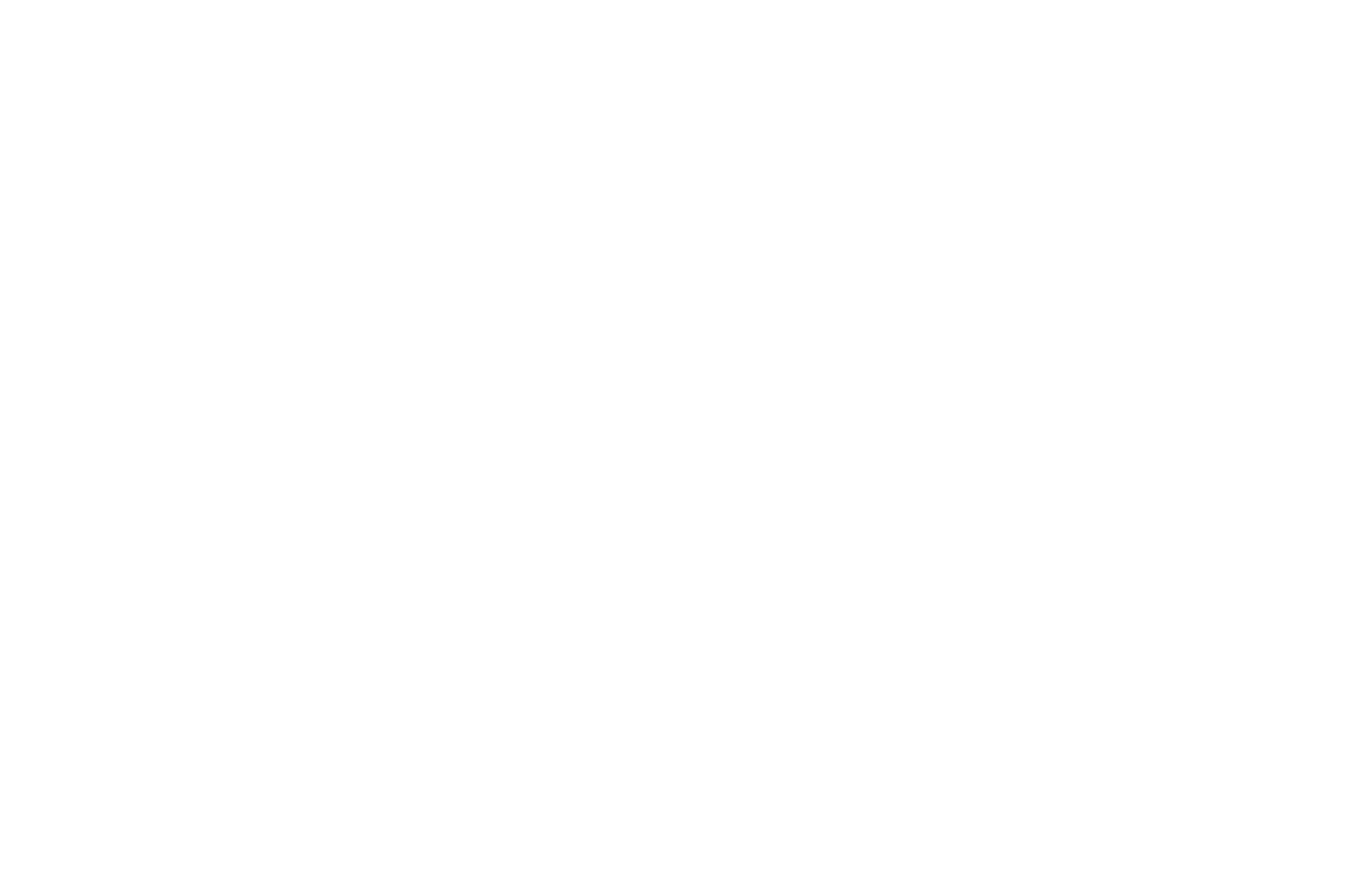 Bleach: Rebirth of Souls logo