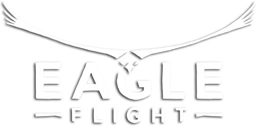 Eagle Flight logo
