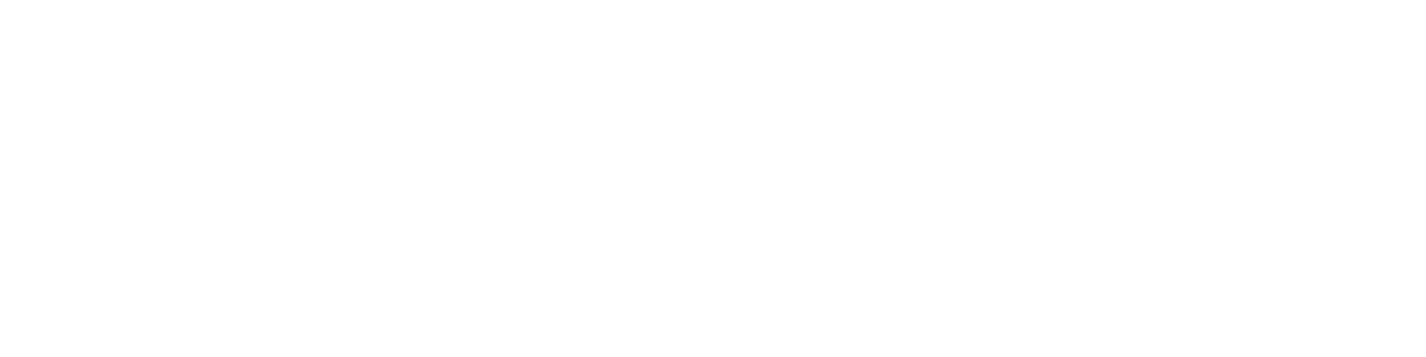 Football Manager 2020 Touch logo