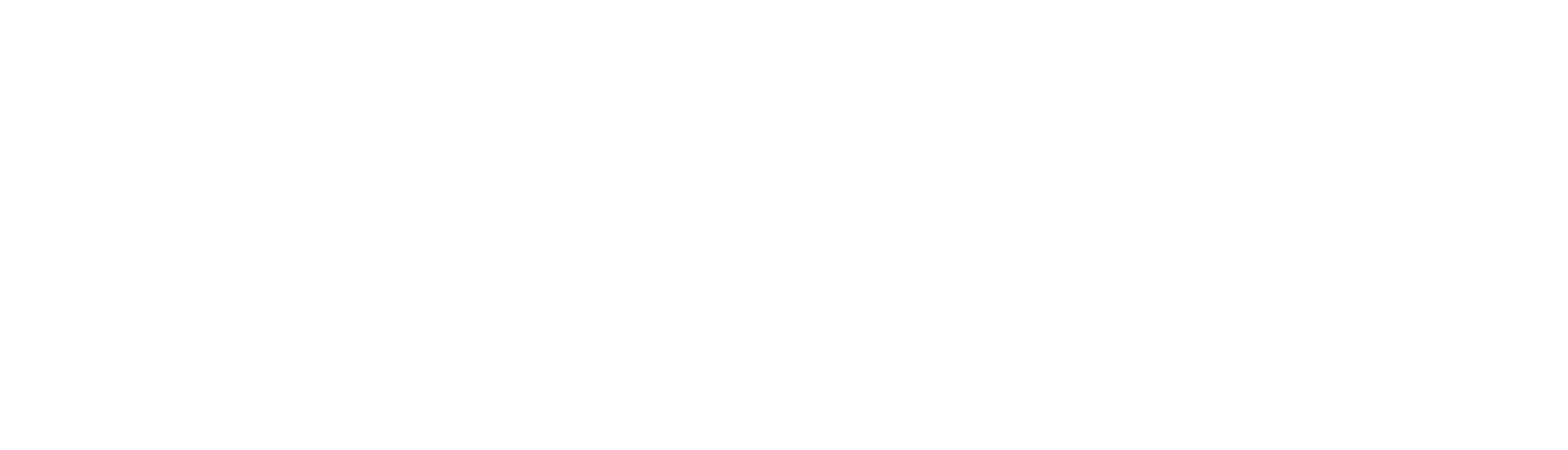 Rise: Race the Future
