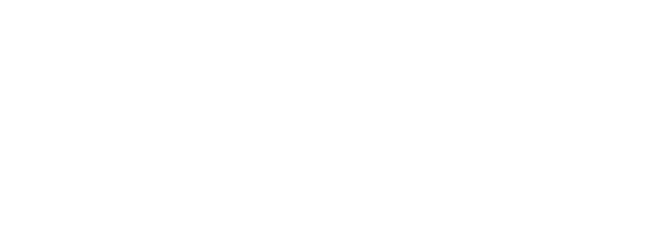 Sniper Elite V2 logo