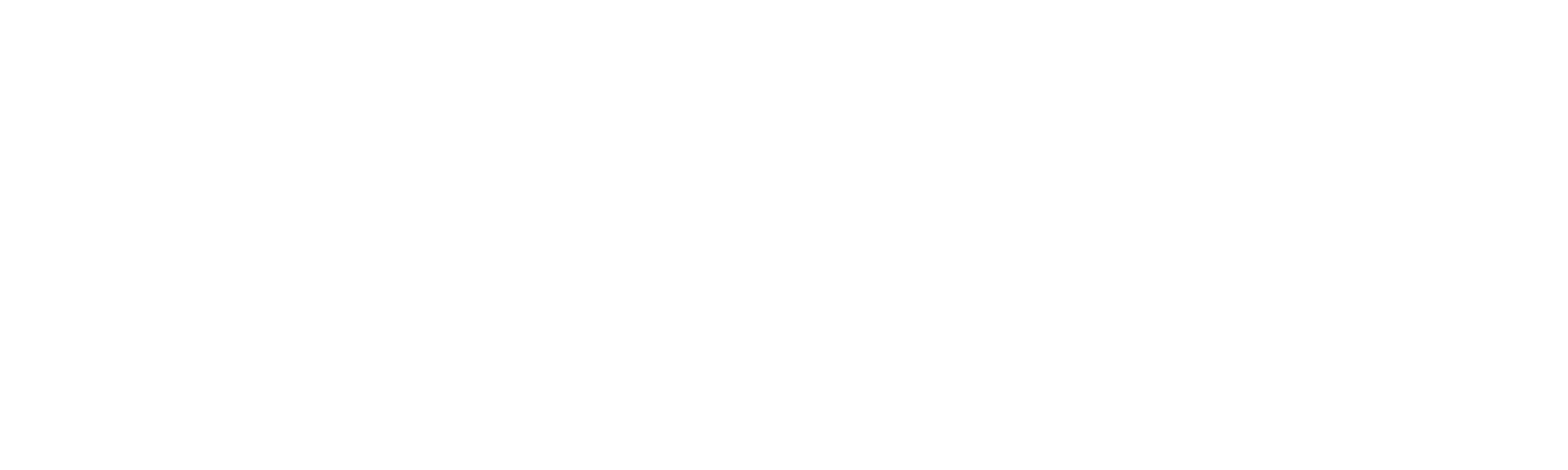 F1 2010 logo