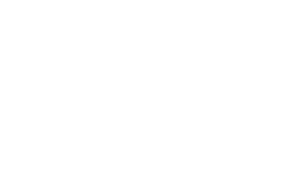 Perfect Heist