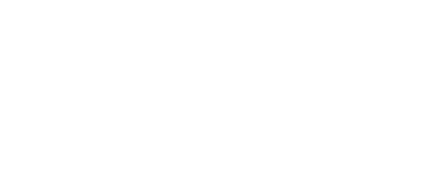 100 Hidden Gnomes