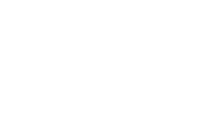 Perlin Festival
