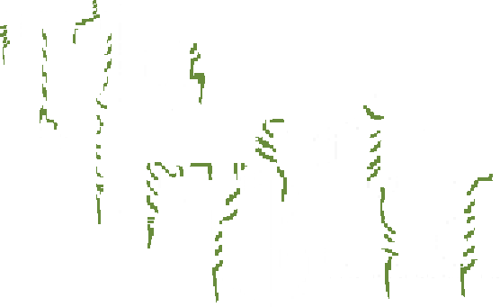 The Greater