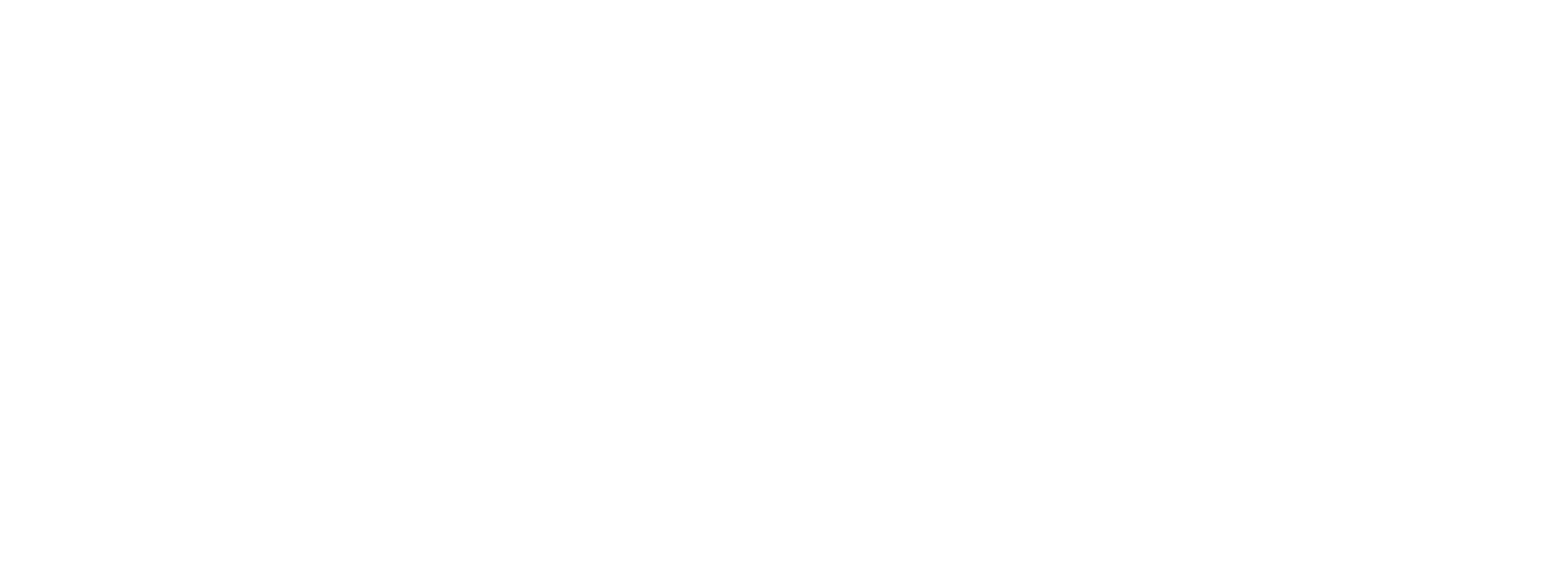 SAS: Secure Tomorrow logo