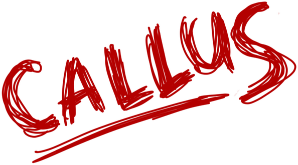 Callus