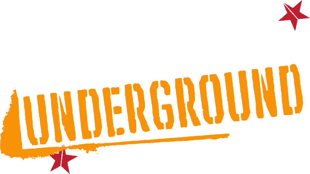Tony Hawk's Underground logo